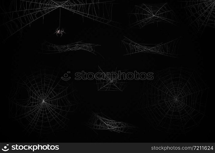 Spider web. Cobweb silhouette for halloween decoration, gossamer trap. Scary horror webs, spooky garden realistic web vector spiderwebs texture set. Spider web. Cobweb silhouette for halloween decoration, gossamer trap. Scary horror webs, spooky garden realistic web vector set