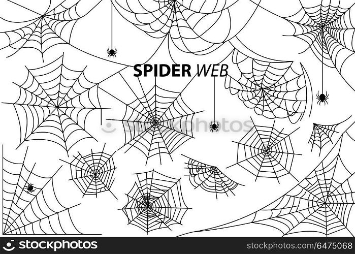 Spider Web Collection of Illustrations on White. Spider web collection of vector illustrations with inscription isolated on white background. Black silhouettes of small multi-legged arthropods hanging