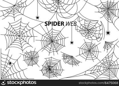 Spider Web Collection of Illustrations on White. Spider web collection of vector illustrations with inscription isolated on white background. Black silhouettes of small multi-legged arthropods hanging