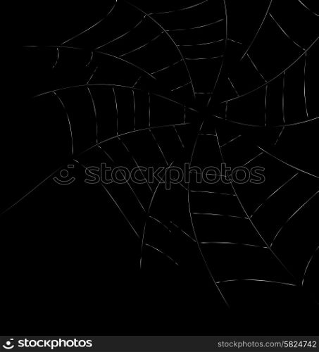 spider web detailed vector illustration - white threads over white. Trap Spider Web on Dark Background for Design Web or Nature concept - vector