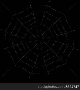spider web detailed vector illustration - white threads over white. Trap Spider Web on Dark Background for Design Web or Nature concept - vector