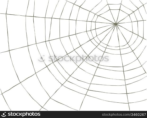 Spider Web on a white background, vector