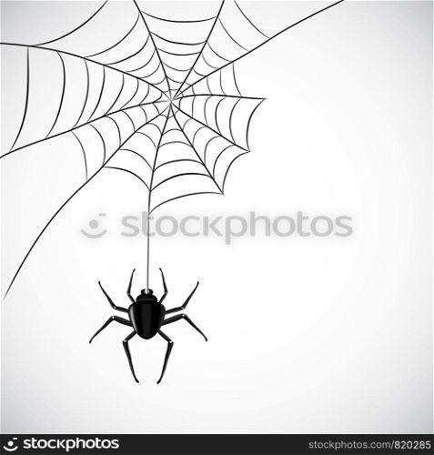 Spider web stock vector illustration