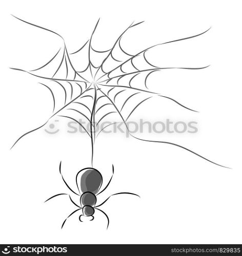 Spider with hanging web vector or color illustration