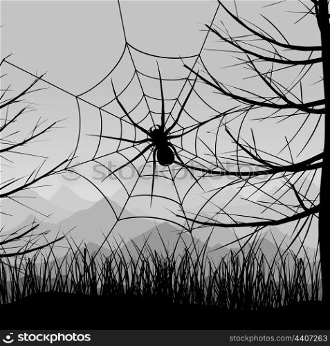Spider5. Spider on a web against the night sky. A vector illustration