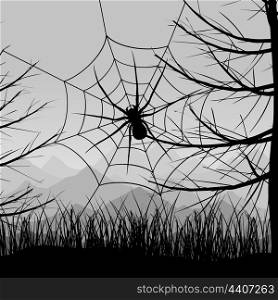 Spider5. Spider on a web against the night sky. A vector illustration