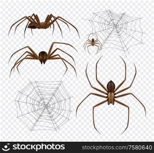 Spiders realistic set on transparent background with detailed images of spidernet and black spiders different angles vector illustration