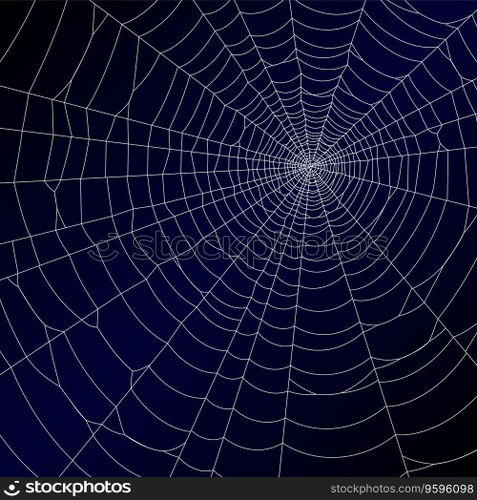 Spiderweb vector image