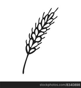 Spikelet  of wheat in doodle style. Simple black and white sketch of wheat, barley or rye stalk for bakery products, flour, package.Vector illustration