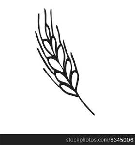 Spikelet  of wheat in doodle style. Simple black and white sketch of wheat, barley or rye stalk for bakery products, flour, package.Vector illustration