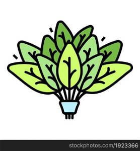 Spinach branch icon. Outline spinach branch vector icon color flat isolated on white. Spinach branch icon color outline vector