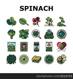 Spinach Healthy Eatery Ingredient Icons Set Vector. Spinach Soup And Spaghetti, Pasta And Pie. Natural Vitamin Ingredient Canned And In Plastic Box. Frozen And Raw Leaves Color Illustrations. Spinach Healthy Eatery Ingredient Icons Set Vector