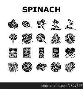 Spinach Healthy Eatery Ingredient Icons Set Vector. Spinach Soup And Spaghetti, Pasta And Pie. Natural Vitamin Ingredient Canned In Plastic Box. Frozen Raw Leaves Glyph Pictograms Black Illustrations. Spinach Healthy Eatery Ingredient Icons Set Vector