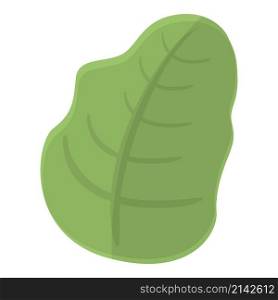 Spinach icon cartoon vector. Vegetable food. Green plant. Spinach icon cartoon vector. Vegetable food