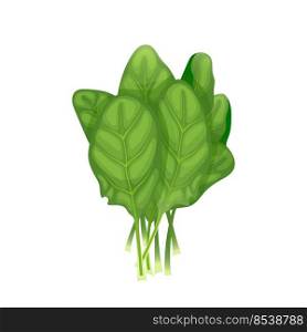 spinach leaf green cartoon. salad fresh, food plant, vegetable leaves, organic bunch, lettuce pile, raw, garden meal spinach leaf green vector illustration. spinach leaf green cartoon vector illustration