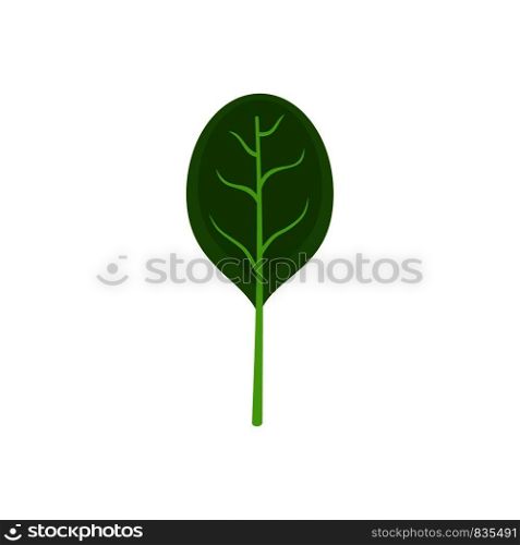 Spinach leave with shadow icon. Flat illustration of spinach leave with shadow vector icon for web isolated on white. Spinach leave with shadow icon, flat style