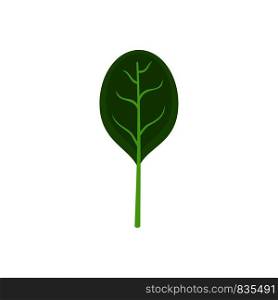 Spinach leave with shadow icon. Flat illustration of spinach leave with shadow vector icon for web isolated on white. Spinach leave with shadow icon, flat style