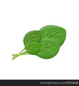 Spinach leaves cartoon vector illustration. Leafy green vegetable flat color object. Source of nutrients and antioxidants. Culinary ingredient. Healthy food product isolated on white background . ZIP file contains: EPS, JPG. If you are interested in custom design or want to make some adjustments to purchase the product, don&rsquo;t hesitate to contact us! bsd@bsdartfactory.com. Spinach leaves cartoon illustration