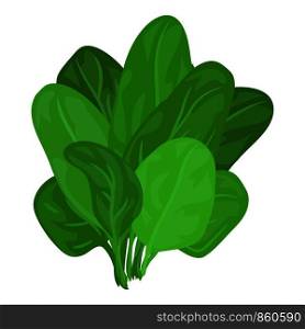 Spinach leaves icon. Cartoon of spinach leaves vector icon for web design isolated on white background. Spinach leaves icon, cartoon style