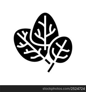 spinach plant glyph icon vector. spinach plant sign. isolated contour symbol black illustration. spinach plant glyph icon vector illustration