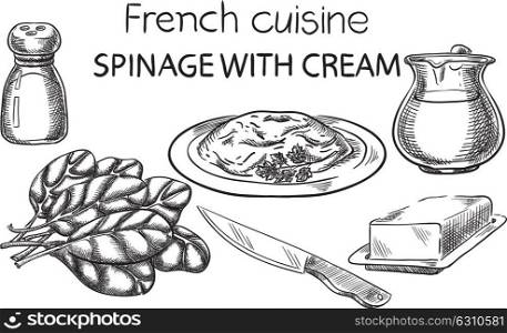 Spinage with Cream. Creative conceptual vector. Sketch hand drawn french food recipe illustration, engraving, ink, line art, vector.