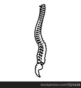 Spinal vertebral column spine backbone contour outline icon black color vector illustration flat style simple image. Spinal vertebral column spine backbone contour outline icon black color vector illustration flat style image