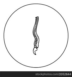 Spinal vertebral column spine backbone icon in circle round black color vector illustration image outline contour line thin style simple. Spinal vertebral column spine backbone icon in circle round black color vector illustration image outline contour line thin style