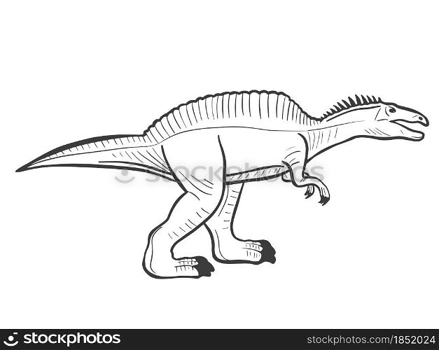 Spinosaurus sketch vector illustration. Prehistoric extinct animal predator. Hand engraving.. Spinosaurus sketch vector illustration.