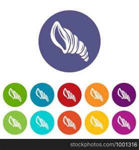 Spiral shell icon. Simple illustration of spiral shell vector icon for web. Spiral shell icon, simple style