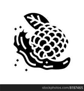 splash juice blackberry glyph icon vector. splash juice blackberry sign. isolated symbol illustration. splash juice blackberry glyph icon vector illustration