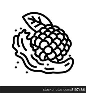 splash juice blackberry line icon vector. splash juice blackberry sign. isolated contour symbol black illustration. splash juice blackberry line icon vector illustration