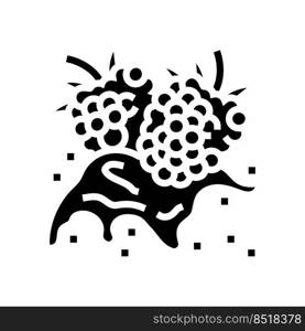 splash raspberry fruit berry glyph icon vector. splash raspberry fruit berry sign. isolated symbol illustration. splash raspberry fruit berry glyph icon vector illustration