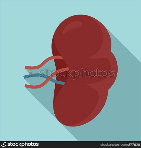 Spleen icon. Flat illustration of spleen vector icon for web design. Spleen icon, flat style