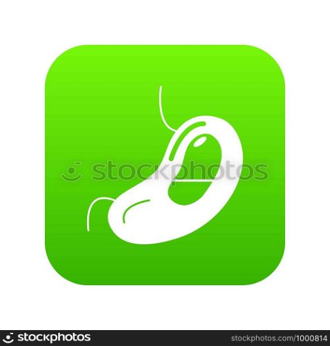 Spleen icon green vector isolated on white background. Spleen icon green vector