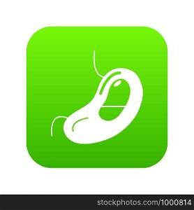 Spleen icon green vector isolated on white background. Spleen icon green vector