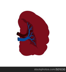 Spleen icon in flat style isolated on white background. Spleen icon flat