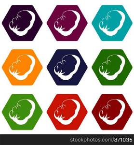 Spleen icon set many color hexahedron isolated on white vector illustration. Spleen icon set color hexahedron