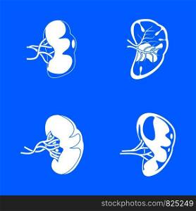 Spleen milt anatomy icons set. Simple illustration of 4 spleen milt anatomy vector icons for web. Spleen milt anatomy icons set, simple style