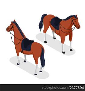 Sport horse concept with grooming and equipment symbols isometric isolated vector illustration. Sport Horse Concept