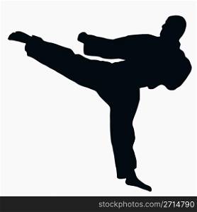 Sport Silhouette - Karate Kick isolated black image on white background