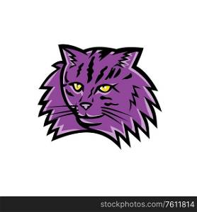 Sports mascot icon illustration of head of a Norwegian Forest Cat, a breed of domestic cat originating in Northern Europe viewed from front on isolated background in retro style.. Norwegian Forest Cat Mascot