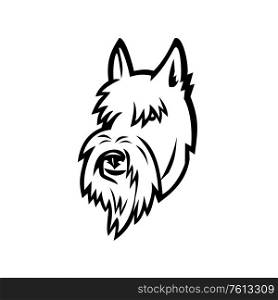 Sports mascot icon illustration of head of a Scottish Terrier, Aberdeen Terrier or Scottie dog viewed from front on isolated background in retro style.. Scottish Terrier Head Mascot Black and White