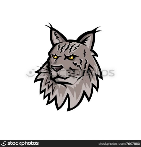 Sports mascot icon illustration of head of an angry Maine Coon, Maine shag or Coon cat, the largest domesticated cat breed in America viewed from front on isolated background in retro style.. Maine Coon Cat Head Mascot