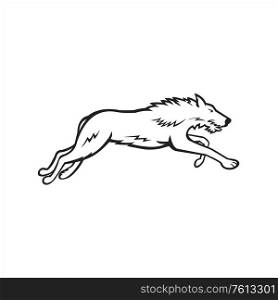 Sports mascot icon illustration of Scottish Deerhound or the Deerhound, a large breed of hound bred for hunting red deer running on isolated background in black and white retro style.. Scottish Deerhound Side Black and White
