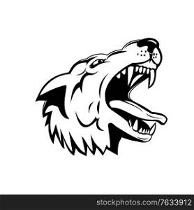 Sports mascot illustration of head of an aggressive and angry wolf, canis lupus, gray wolf or grey wolf, a large canine native to North America low angle view in black and white retro style.. Head of an Aggressive and Angry Gray Wolf Grey Wolf Low Angle Mascot Black and White