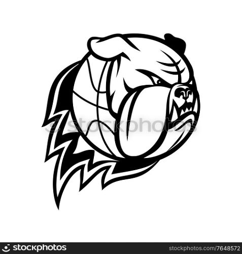 Sports mascot illustration of head of an English Bulldog or British bulldog on blazing or flaming basketball ball on fire viewed from side on isolated background in retro black and white style.. Head of English Bulldog or British Bulldog Basketball Ball on Fire Blazing Mascot Black and White