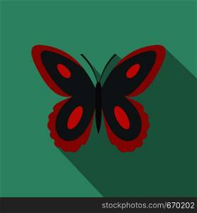 Spotted butterfly icon. Flat illustration of spotted butterfly vector icon for web. Spotted butterfly icon, flat style.