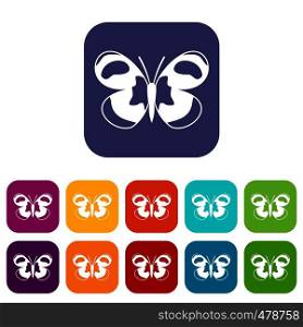 Spotted butterfly icons set vector illustration in flat style in colors red, blue, green, and other. Spotted butterfly icons set