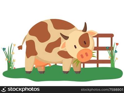 Spotted cow near fence and green bushes domesticated rustic animal with horns. Vector young bovine calf isolated on white, farming and agriculture concept. Spotted Cow Near Fence and Green Bushes Vector