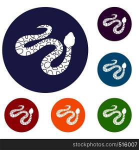 Spotted snake icons set in flat circle red, blue and green color for web. Spotted snake icons set